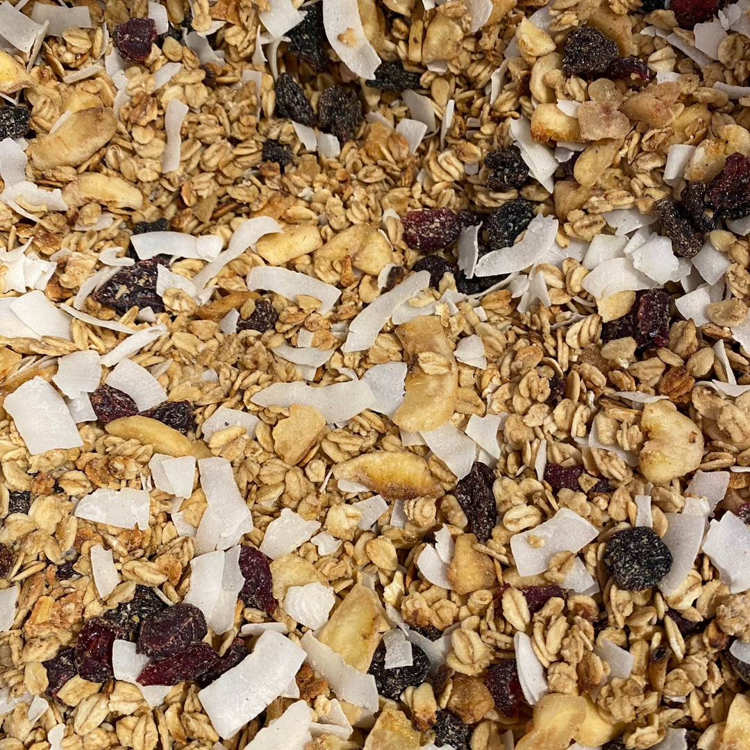 Luxury granola with oats, dried fruits, and coconut flakes from The SoPurist, perfect for gourmet breakfasts.