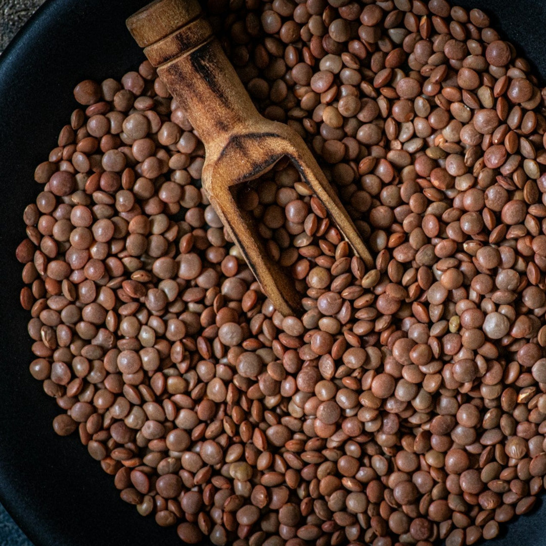 Bulk organic brown lentils in a clear package by AGT, ideal for cooking and budget-friendly protein.