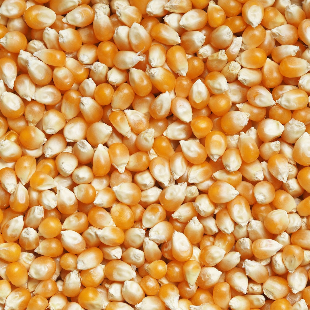 Pack of Akalwayas popcorn snacks in a colorful bag, available in 250g, 500g, and 1kg sizes.