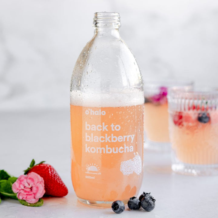 Back to Blackberry Kombucha